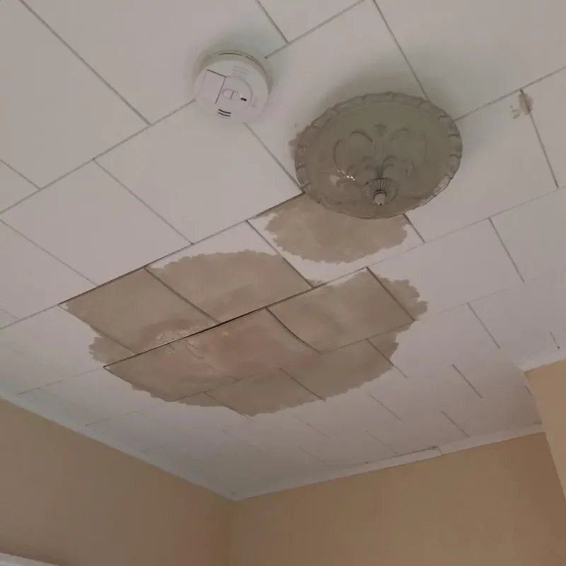 Ceiling Water Damage Repair in Tippecanoe County, IN