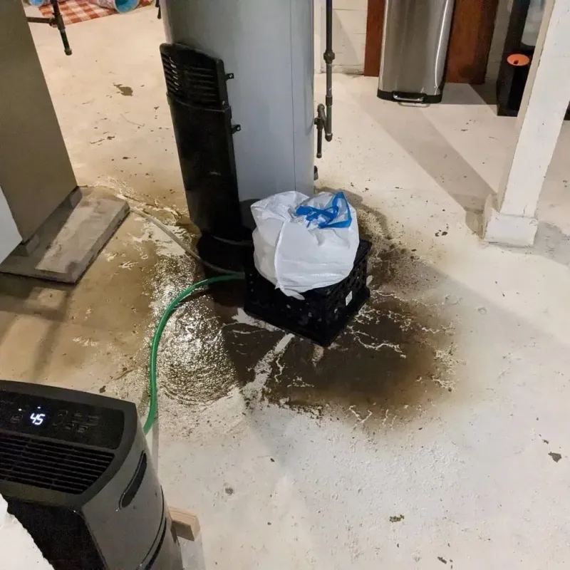Sewage Backup Cleanup Service in Tippecanoe County, IN